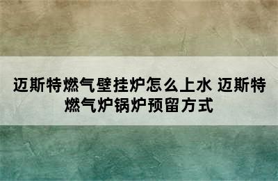 迈斯特燃气壁挂炉怎么上水 迈斯特燃气炉锅炉预留方式